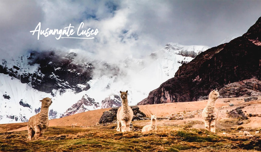 Ausangate Cusco